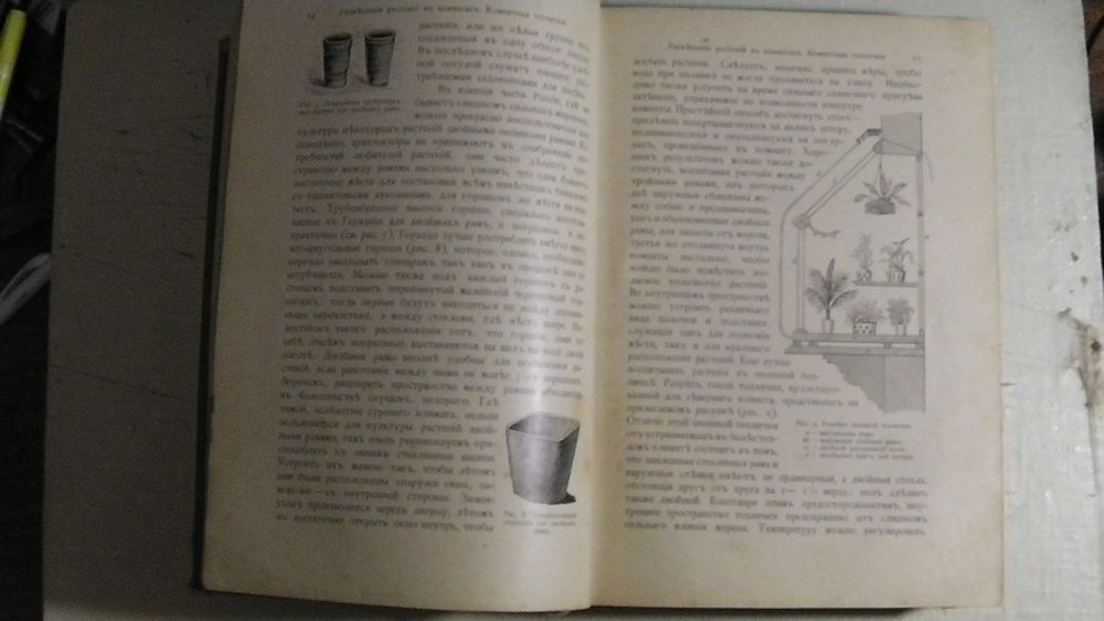 Комнатное садоводство М. Гесдёрфера. 1904 г.