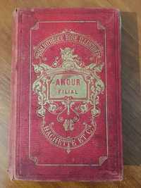 Amour filial 1880