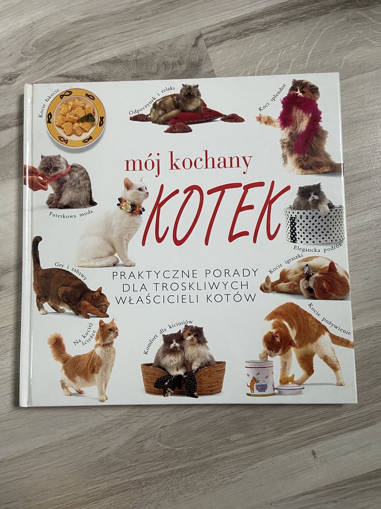 książka dla dzieci moj kochany kotek