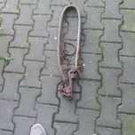 Naszelnik dla konia
