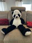 Panda Peluche Grande
