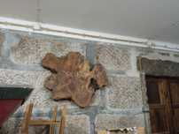Base de árvore para decoração