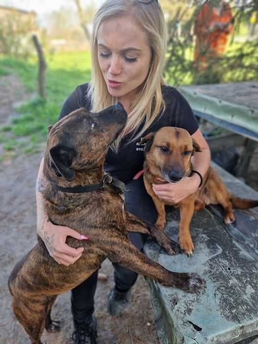 Dwa bardzo pragnące miłości psiaki !