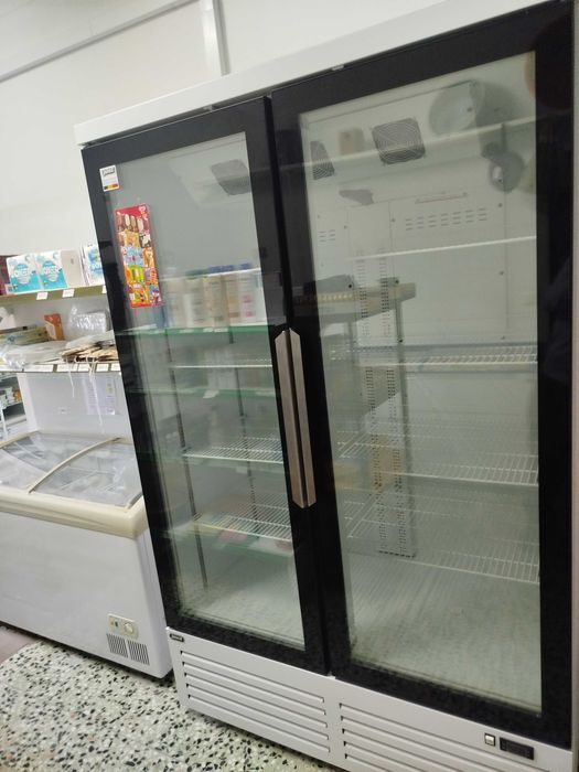 Arca congeladora 2 portas vertical.