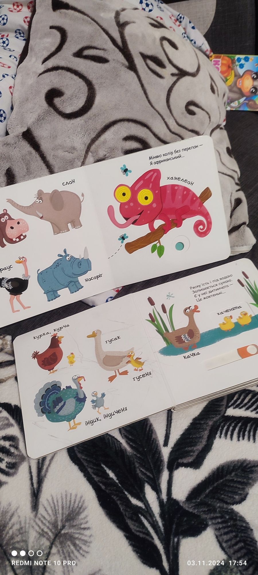 Книжки, книжечки, розвивашки, розвиваючі книжки