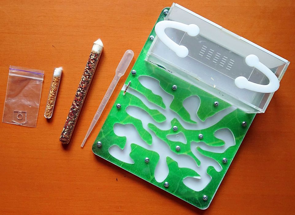 Формікарій Ant City