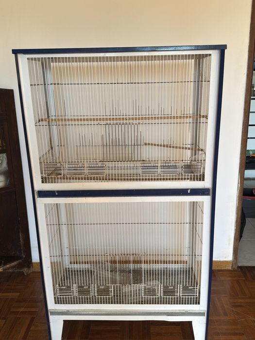 Viveiro usado para passaros