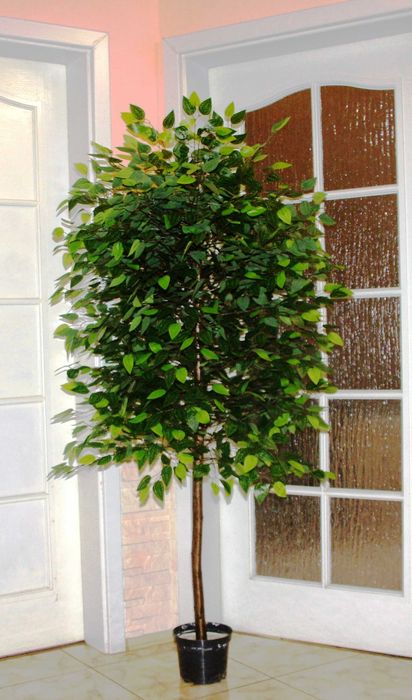 Drzewko sztuczne beniaminek - jabłoń kwitnąca