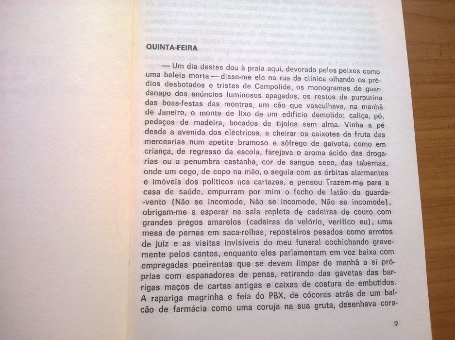 Explicação dos Pássaros (2.ª ed.) - António Lobo Antunes