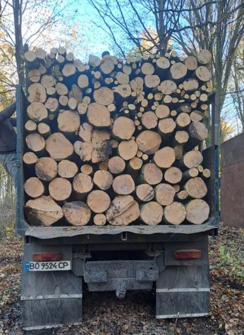 Дрова дубові колоті та метрові, доставка включена. 5-10-35 м3
