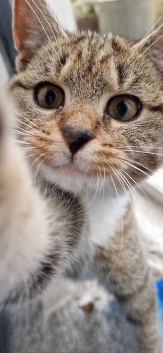 Pumy do zakochania od zaraz