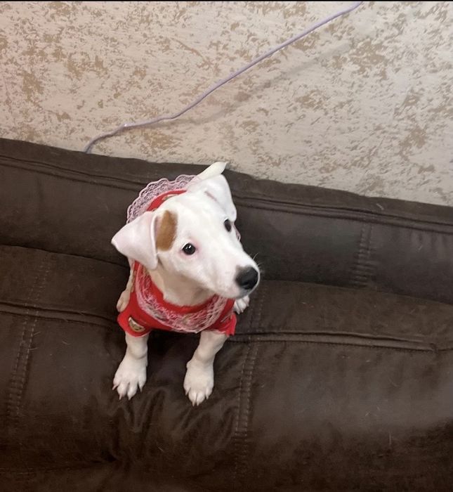 Гарна дівчинка шукає родину