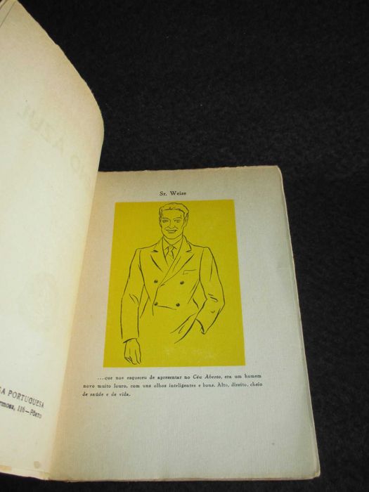 Livro Em Pleno Azul D. Virgínia de Castro e Almeida