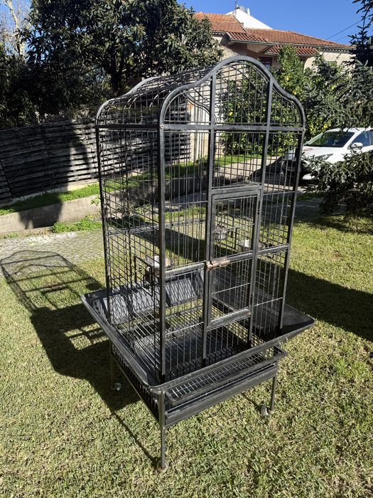 Gaiola para Papagaio