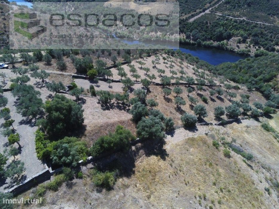 Quinta Rustica junto ao Rio Tejo