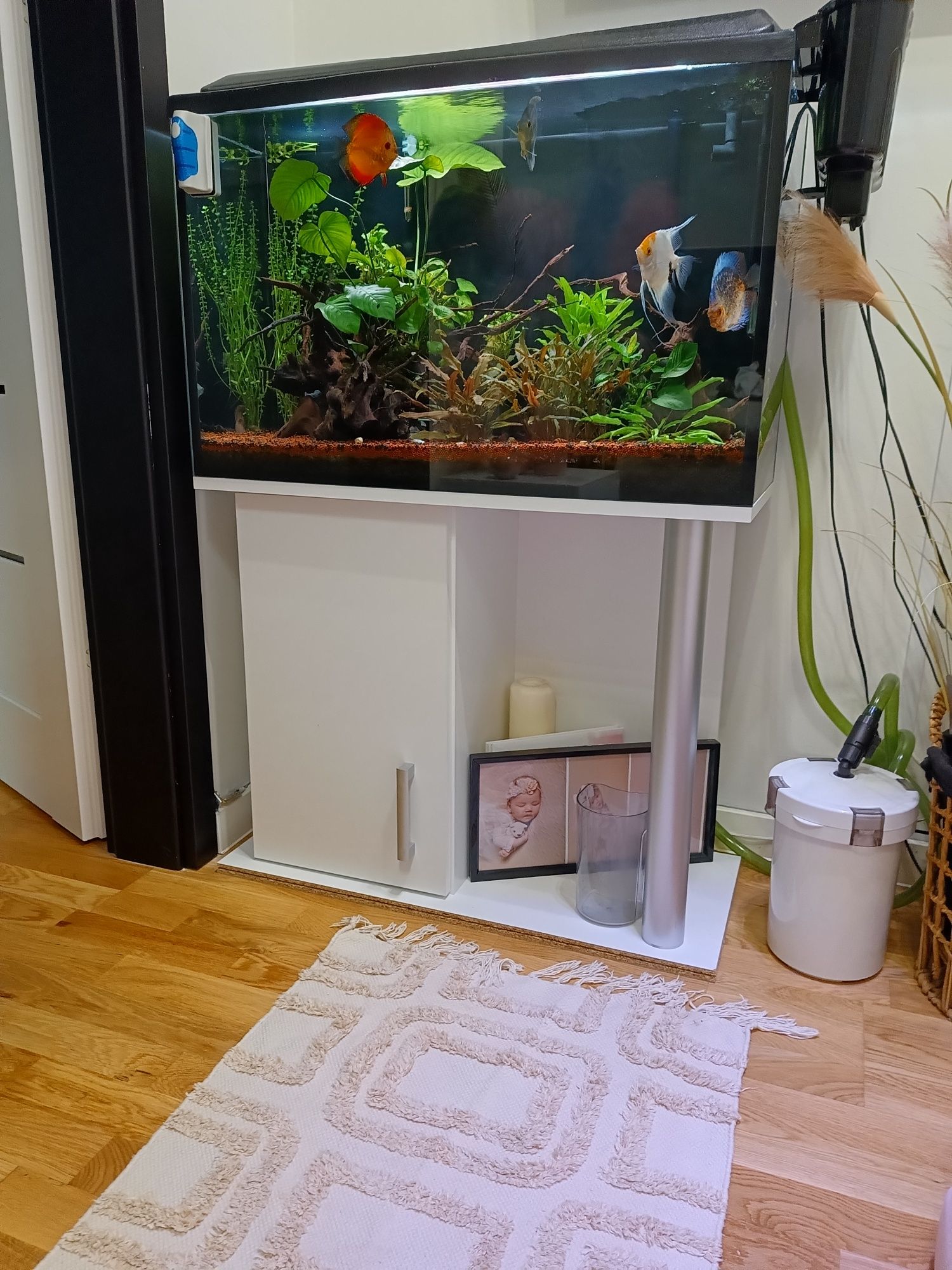 Akwarium szafka filtry plus życie