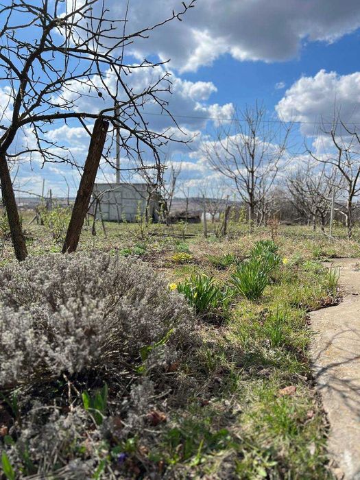 NEW!!! Продаж найдешевшої дачі