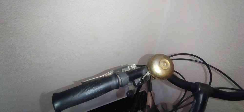 Bicicleta Pasteleira holandesa