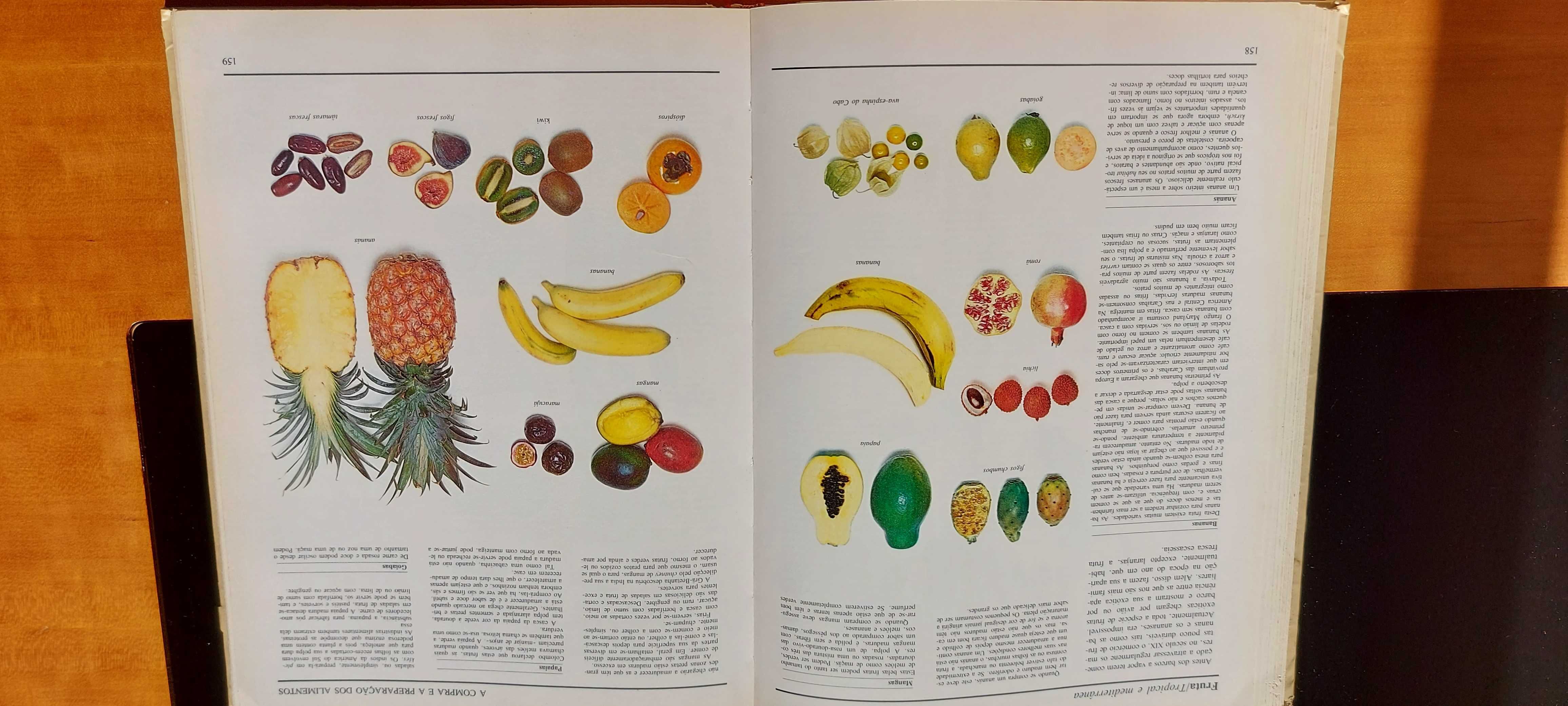 O Grande Livro Ilustrado da Culinária de Terence e Caroline Couran