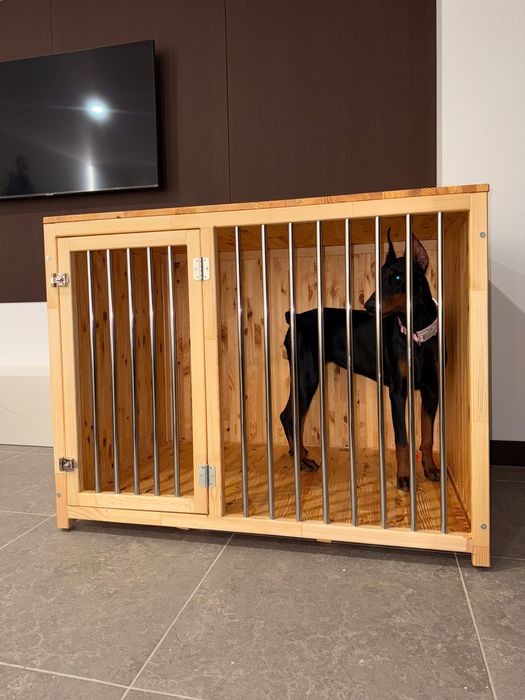 Восьмимісячна дівчинка добермана шукає нову сімʼю