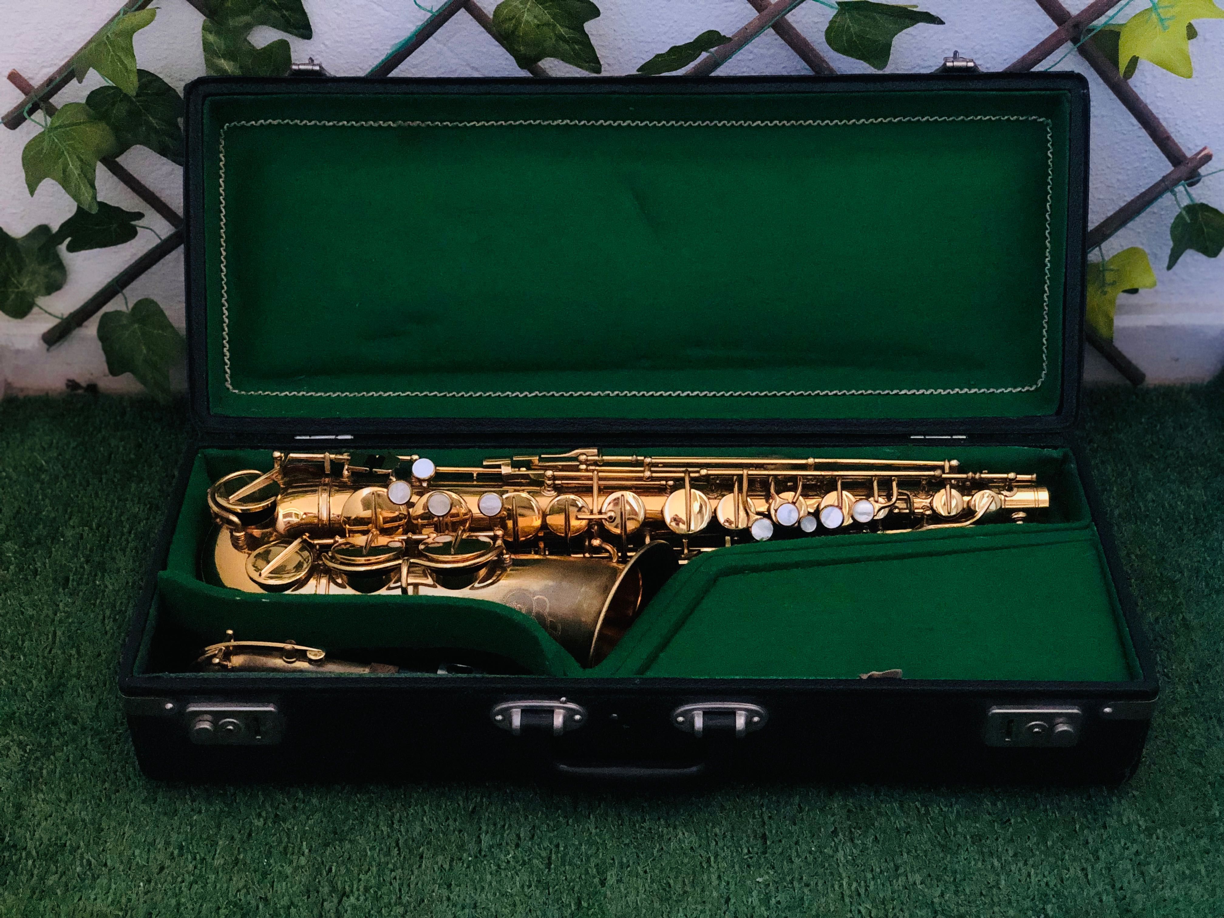 Saxofone Alto Hohner President