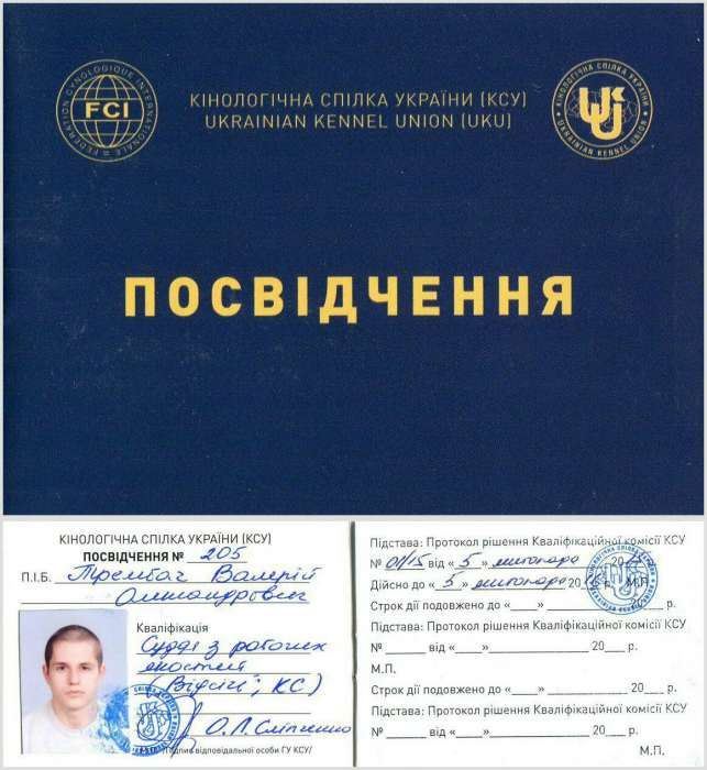 ШОС "Арес-Абрай" (Дресирування собак, без вікових та породних обмежень