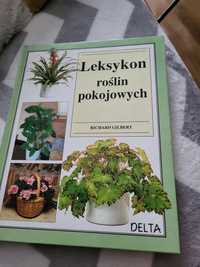 Książka Leksykon roślin pokojowych