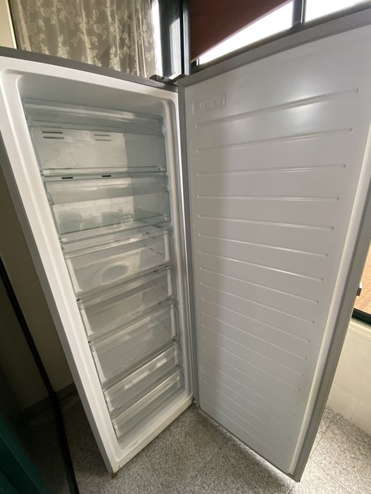 Arca Congeladora Princess