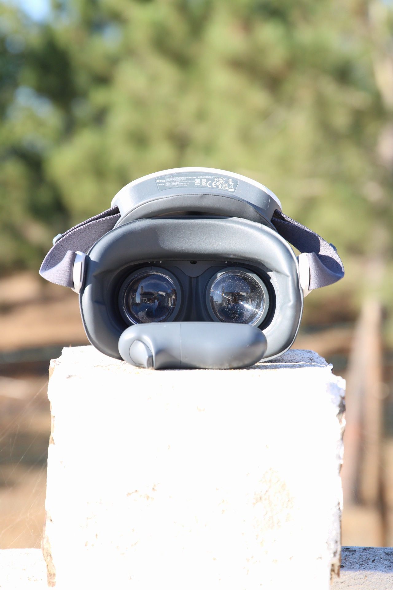 Óculos VR Pico G3