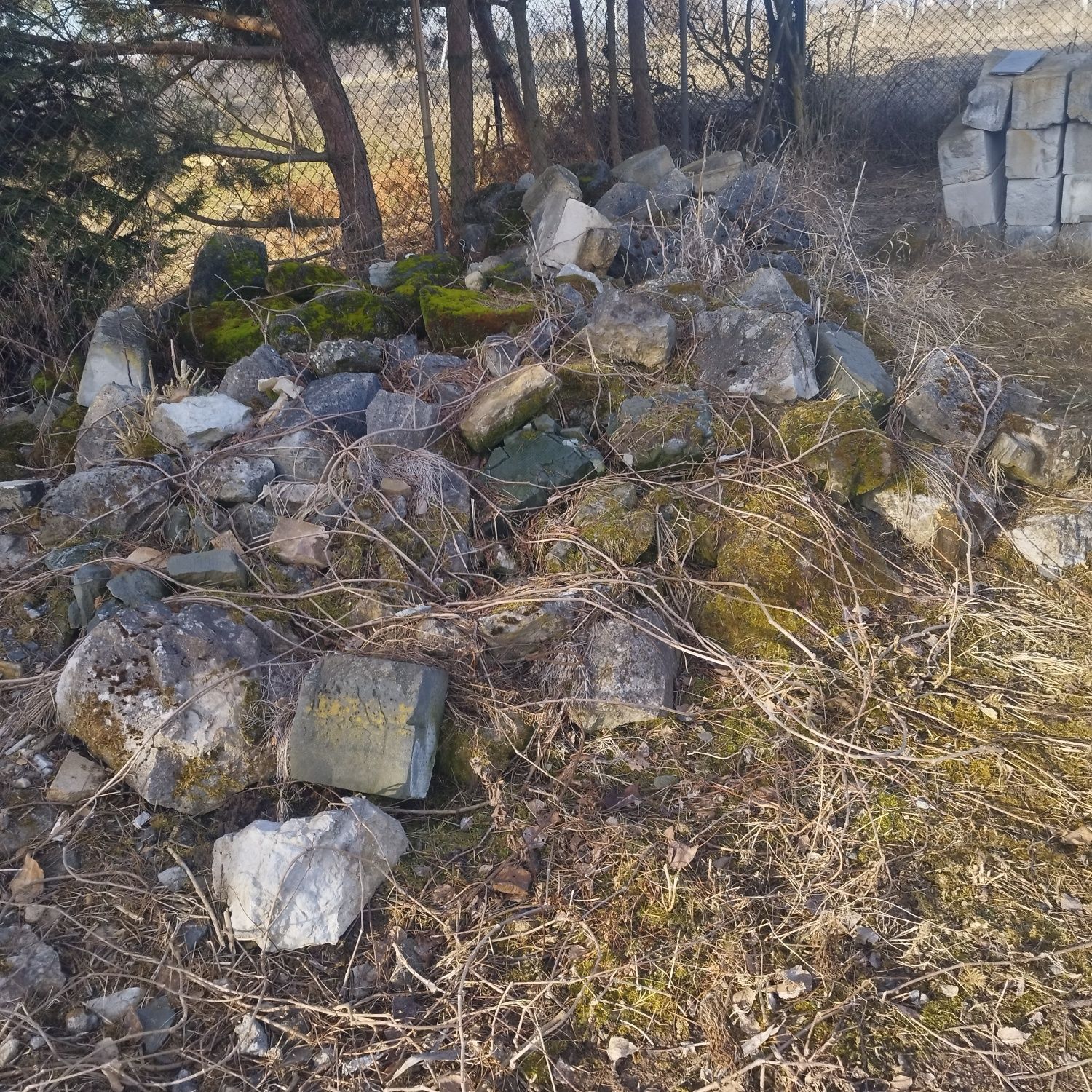 Oddam za darmo pustaki i kamiń
