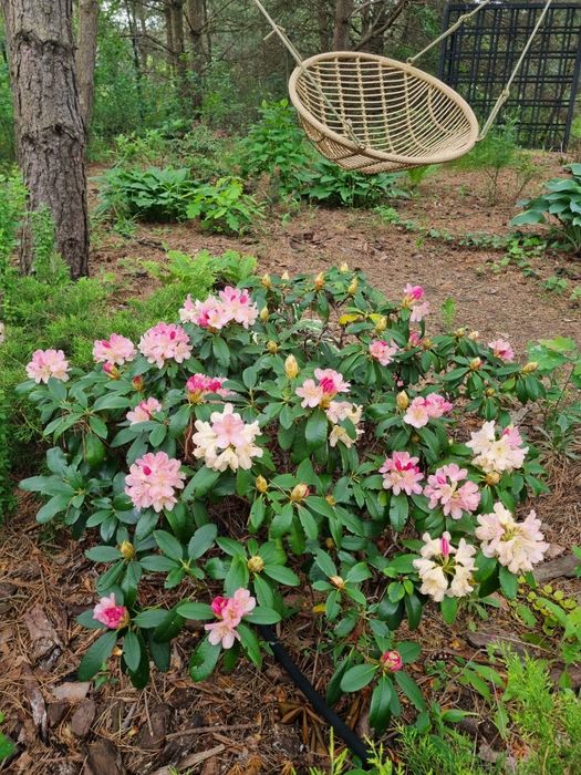 Jesienna regeneracja nad Liwcem pobyt