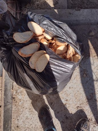 Sprzedam chleb jako pasze dla zwoerzat mozliwy transport