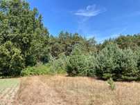 Działka budowlana na sprzedaż, rzeka Czarna, k.Sulejowa, Natura 2000