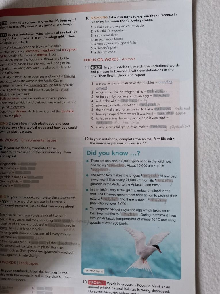 Focus 4 B2/B2+ Pearson . Podręcznik i ćwiczenia