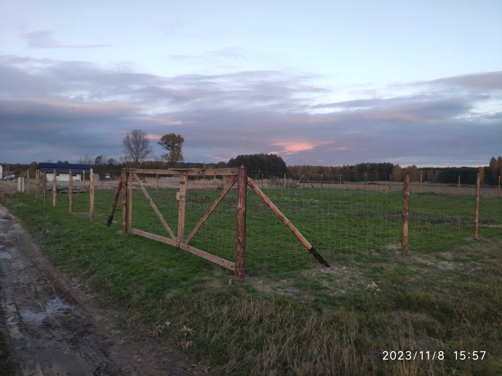 Działka budowlana z mediami - Kolonia Osiek, gm. Galewice