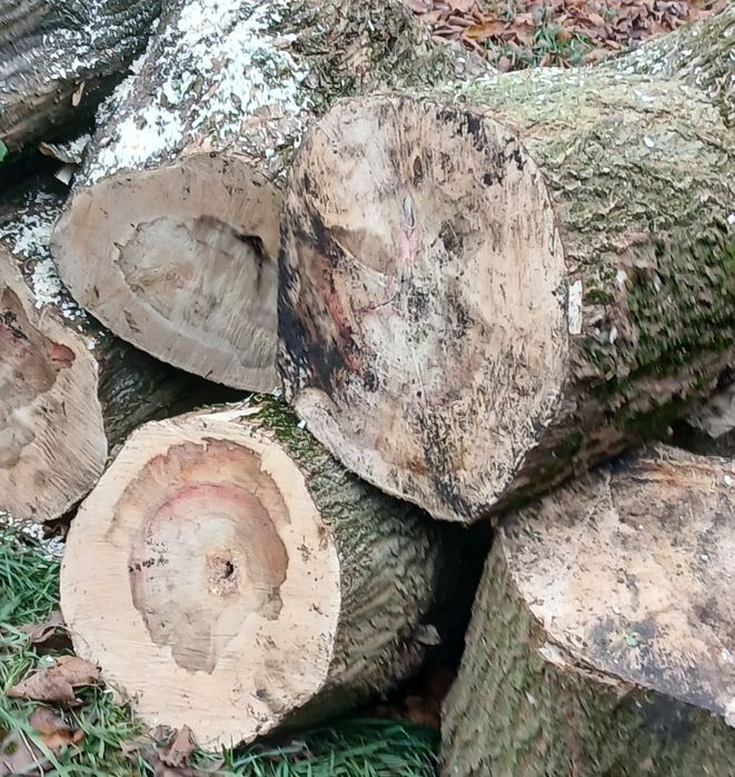 Дрова кленок, метровка. Недорого.