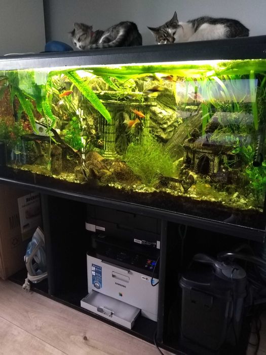 sprzedam akwarium 300l