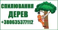 СПИЛЮВАННЯ ДЕРЕВ. Професійний догляд за зеленою зоною та деревами!