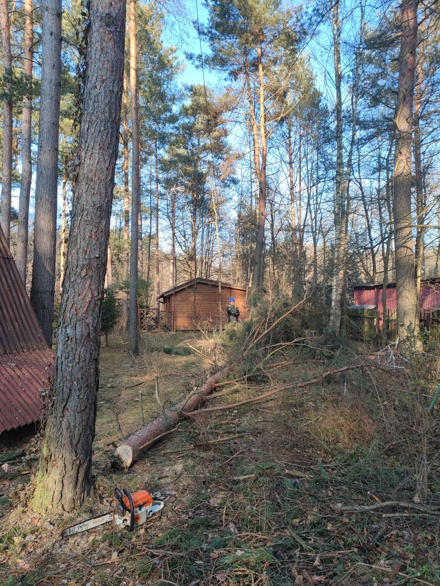 Wycinka przycinanie drzew czyszczenie działek koszenie trawy rębak