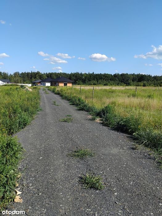 Sprzedam działki budowlane z warunkami zabudowy