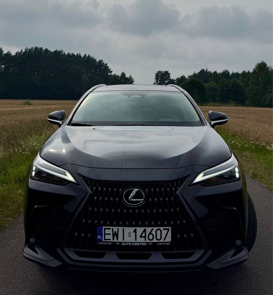 Lexus NX 250  2024