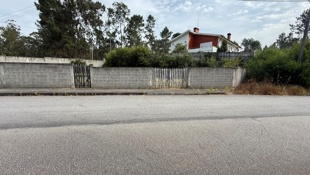Terreno com boa exposição solar