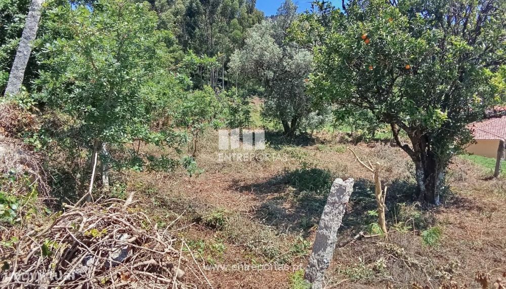 Terreno para venda, Gandra, Valença