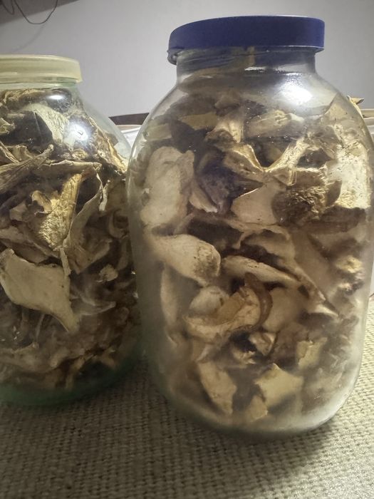 Сушені білі гриби