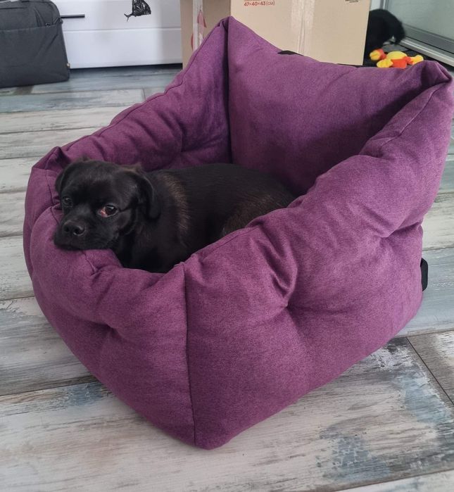 Автокрісла для собак