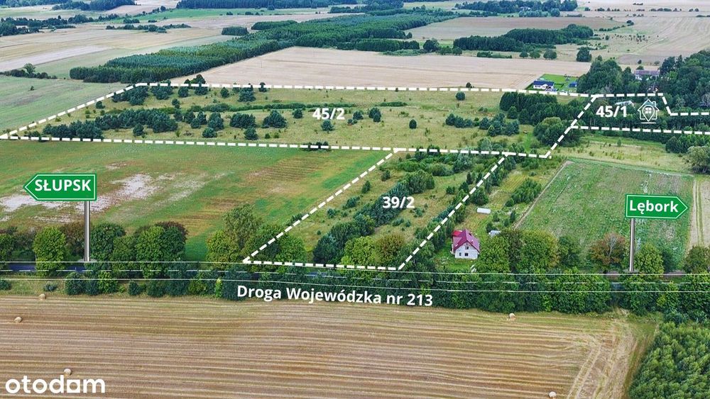 DZIAŁKA ROLNA 15 990 m² –  bezpośrednio przy drodze wojewódzkiej 213