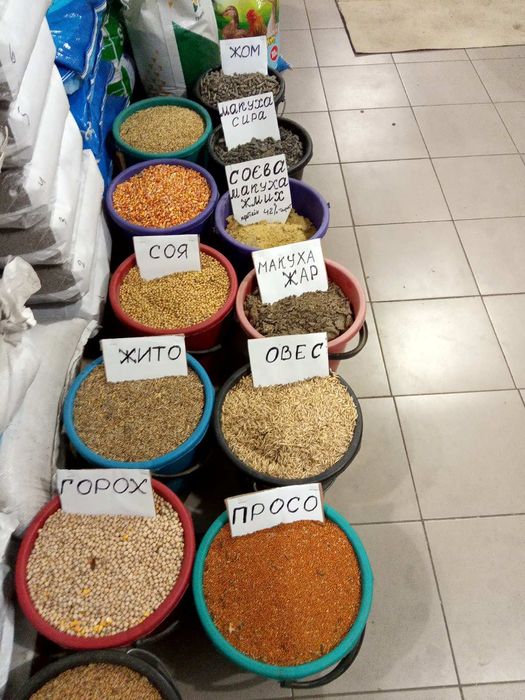 Продам зерно пшениці до 2-х.т. ДОСТАВКА пшеница ячмень ячмінь кукурудз