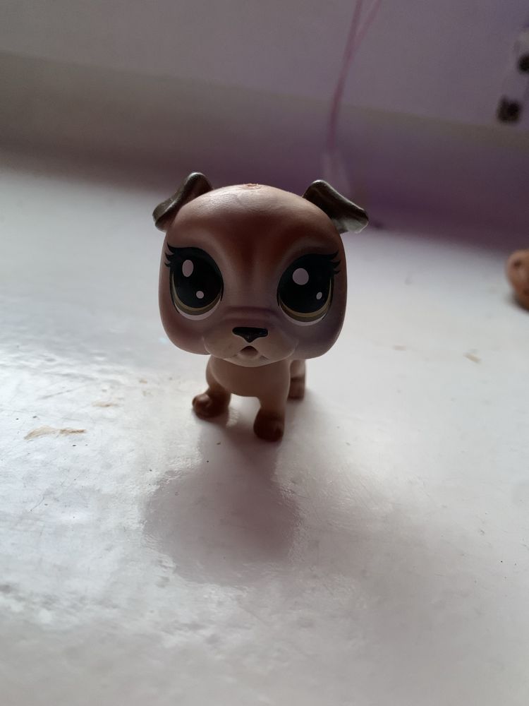 фігурка лпс lps littlest pet shop песик нова колекція