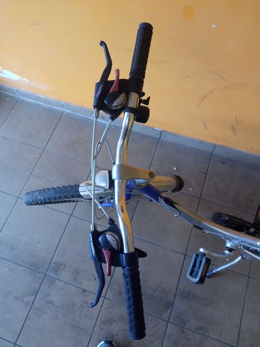 Rower sektor classic 24