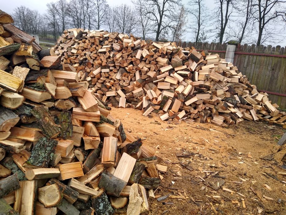 Drewno drzewo opałowe sosna dąb brzoza akacja buk